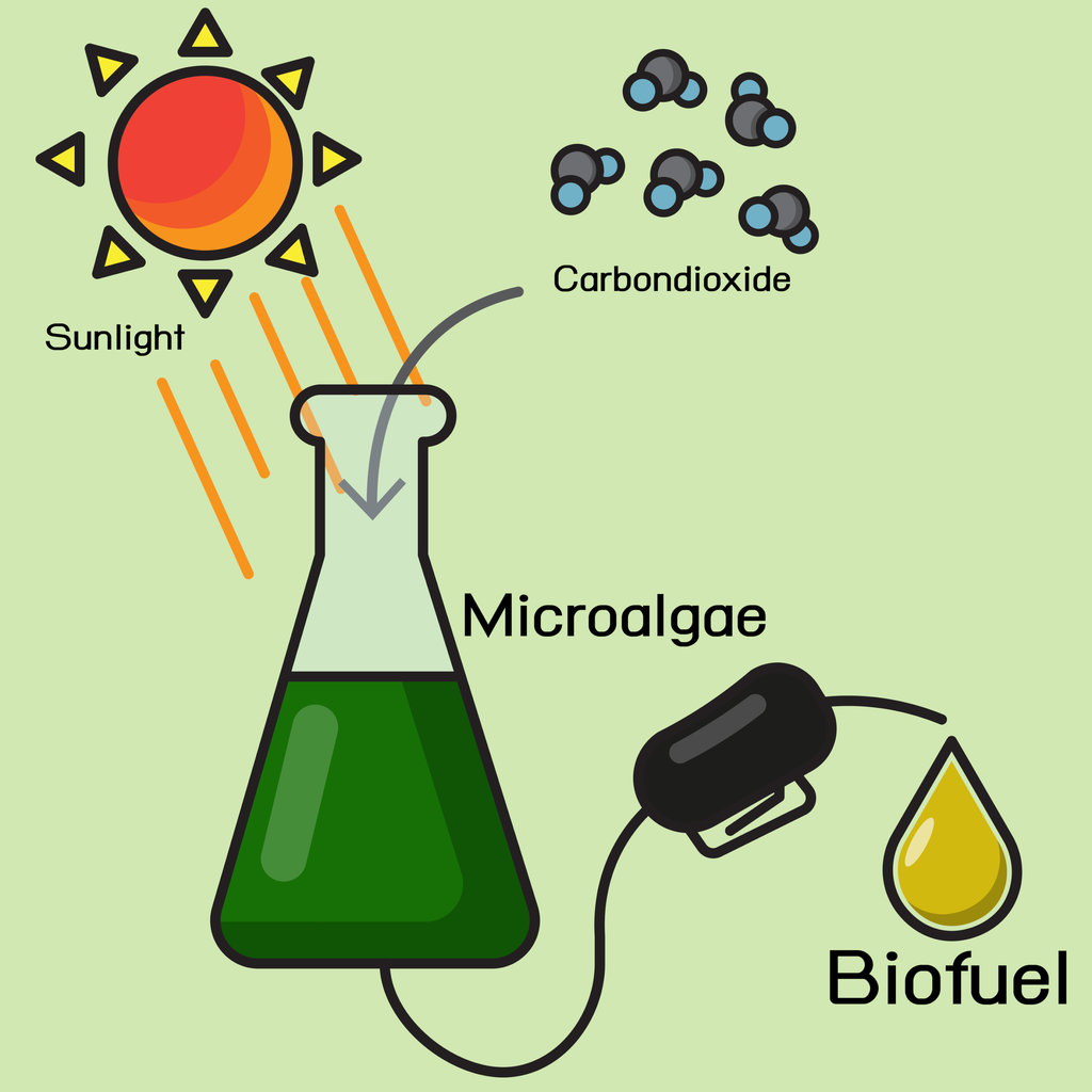 Ilustrasi biofuel