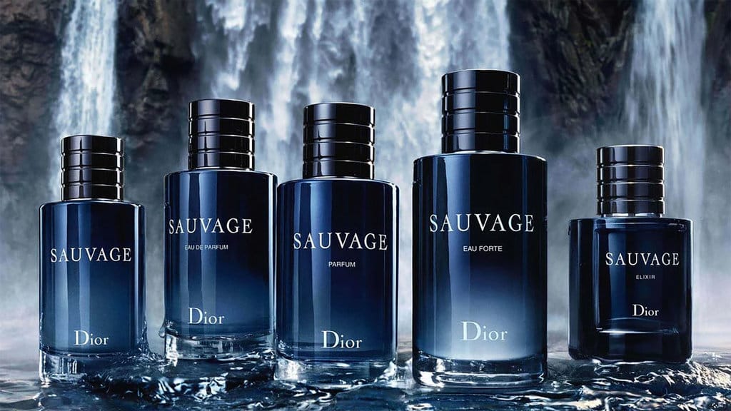 Parfum Christian Dior Sauvage Eau De Toilette
