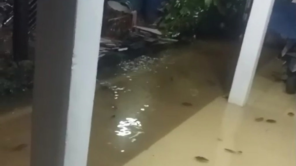 Tandon Puri Bintaro Hijau 2