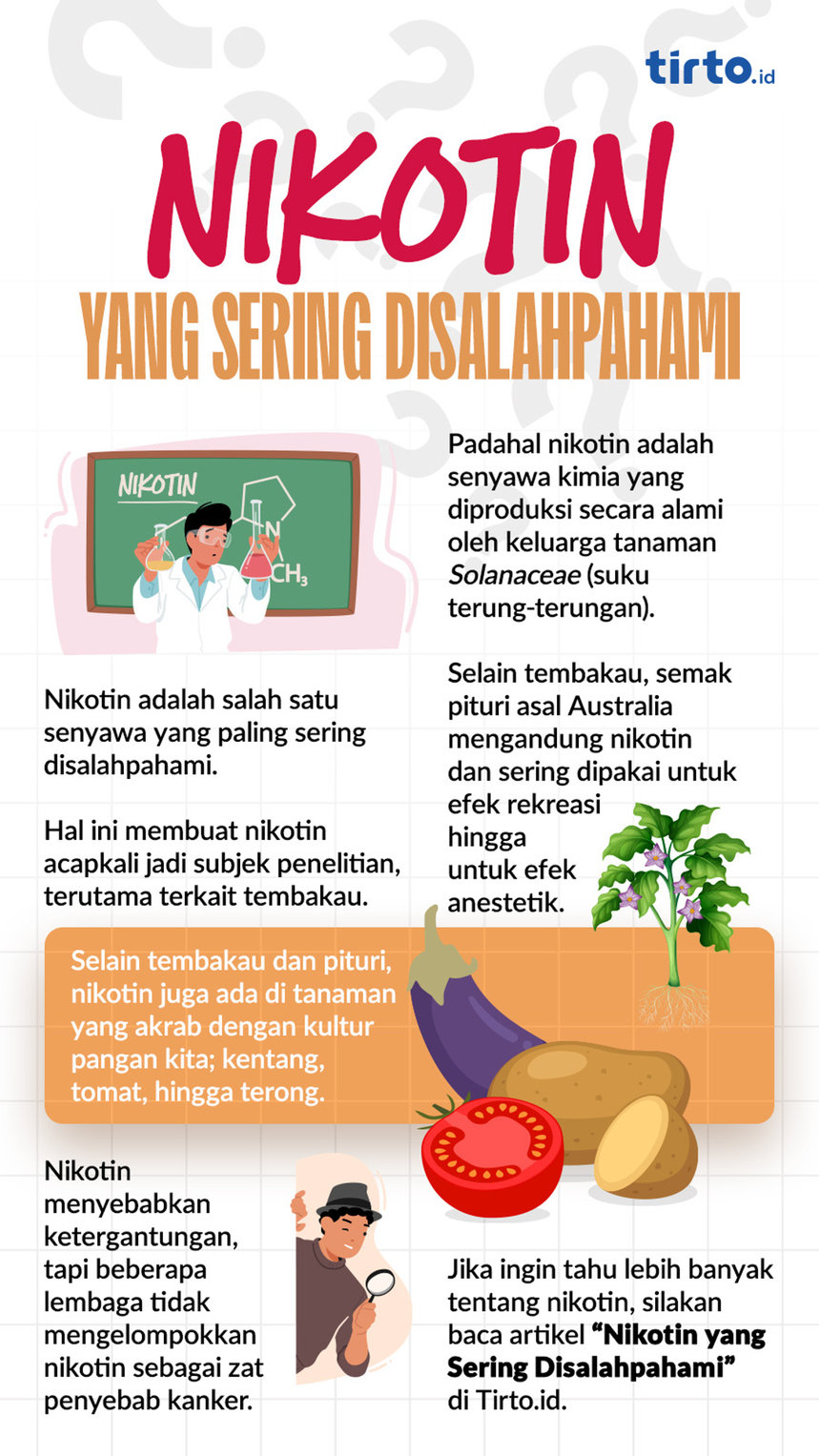 Infografik Nikotin Yang Sering Disalahpahami. FOTO/Tirto.id Infografik HMS 8