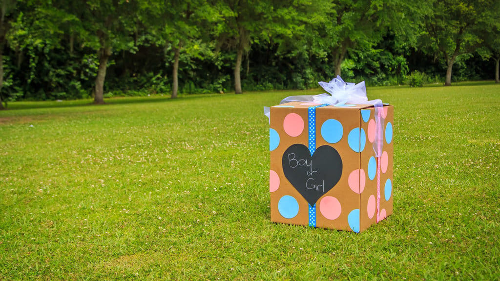 Ilustrasi Gender Reveal. foto/istockphoto Ilustrasi Gender Reveal