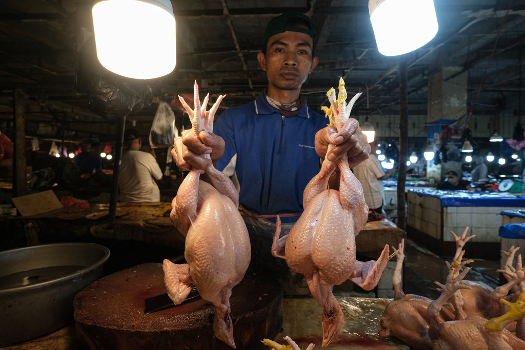Dua Perusahaan Kuasai Industri Ayam, Omset Rp400T Saat Ada MBG