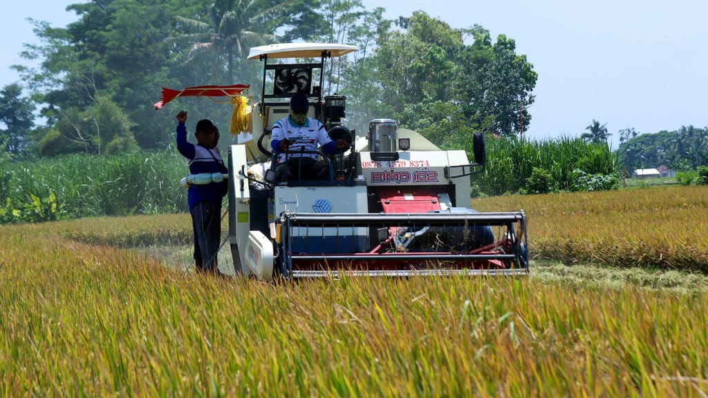 Petani memanen padi dengan menggunakan mesin pemanen di persawahan mangir, Banyuwangi, Jawa Timur, Rabu (24/9/2025). ANTARA FOTO/Budi Candra Setya/nym. Hari Tani Nasional di Banywuangi