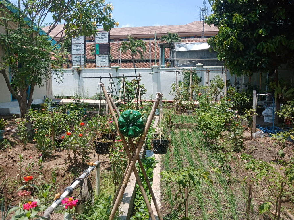 Lahan Kelompok Wanita Tani di area Masjid Agung Surakarta. (FOTO/Adisti Daniella) Ficer KBA Astra
