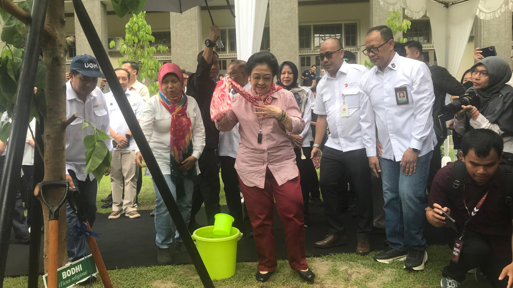 Presiden ke-5, Megawati Soekarnoputri menanam pohon pohon bodhi di sekitar halaman balairung UGM. tirto.id/ Abdul Haris Megawati Soekarnoputri menanam pohon