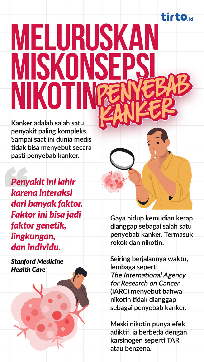 Infografik Meluruskan Miskonsepsi Nikotin Penyebab Kanker. tirto.id/Mojo Infografik Meluruskan Miskonsepsi Nikotin Penyebab Kanker