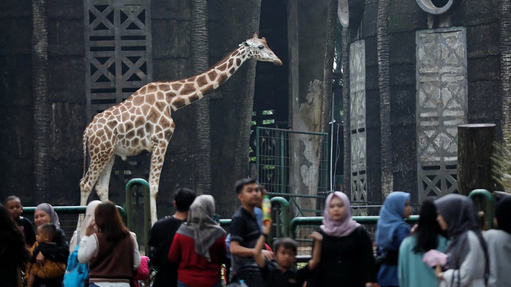 Taman Margasatwa Ragunan