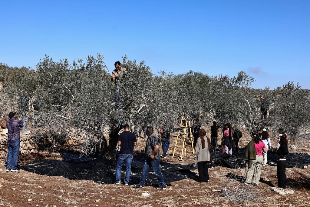 Pemukim Israel di Palestina & Tokoh Hamas Kena Sanksi Uni Eropa