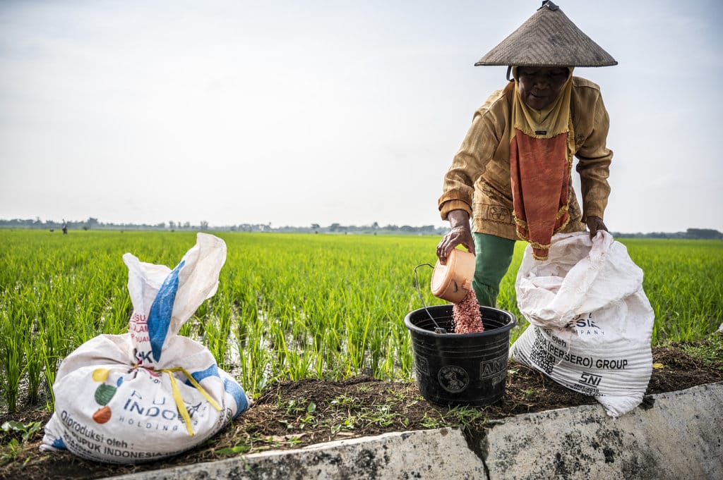 Realisasi penyaluran pupuk subsidi