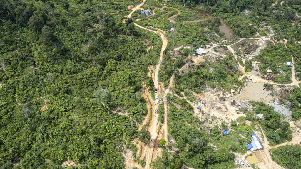 Tambang minyak ilegal ancam Hutan Harapan