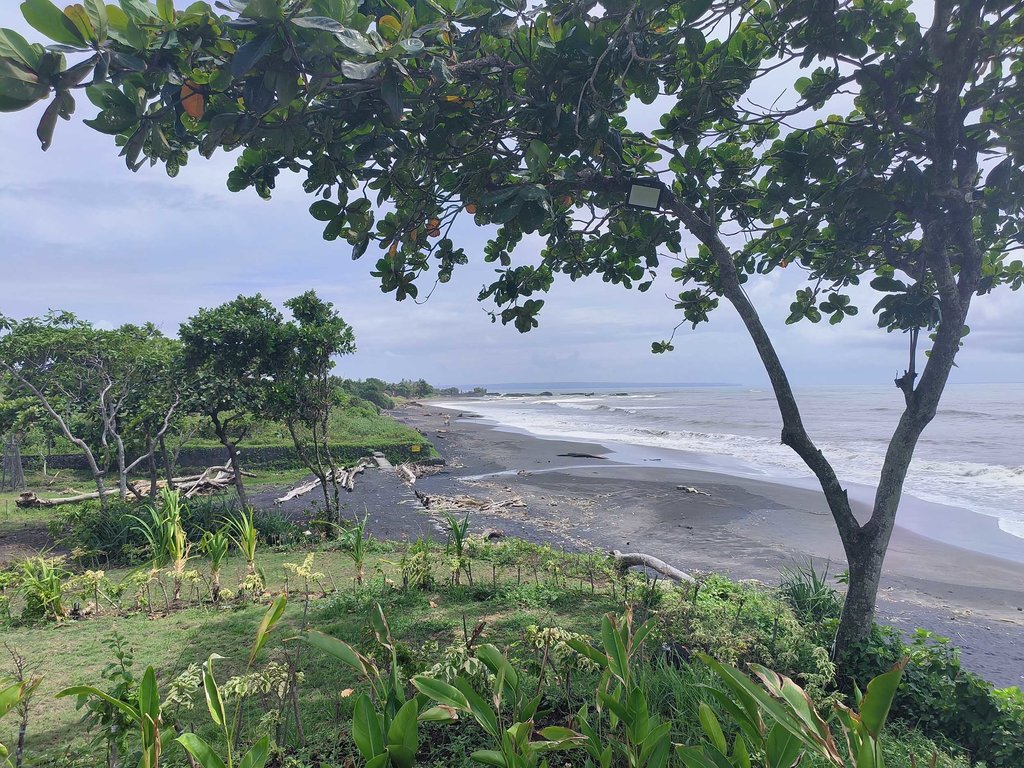 Pantai Nyanyi