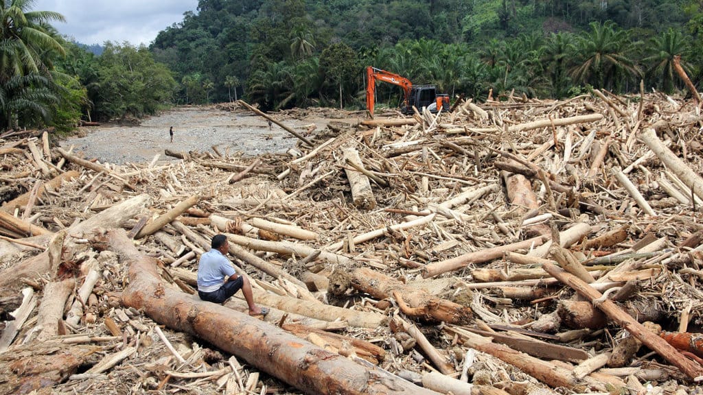 Sampah kayu gelondongan banjir bandang di Tapanuli Selatan