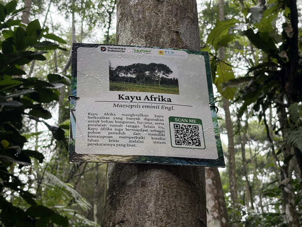 Lahan Hutan Organik Megamendung