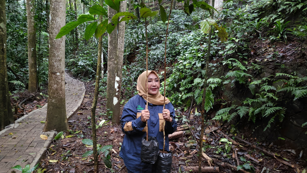 Lahan Hutan Organik Megamendung