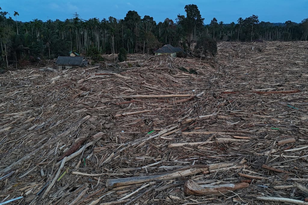 Kayu gelondongan pascabanjir bandang di Aceh Utara