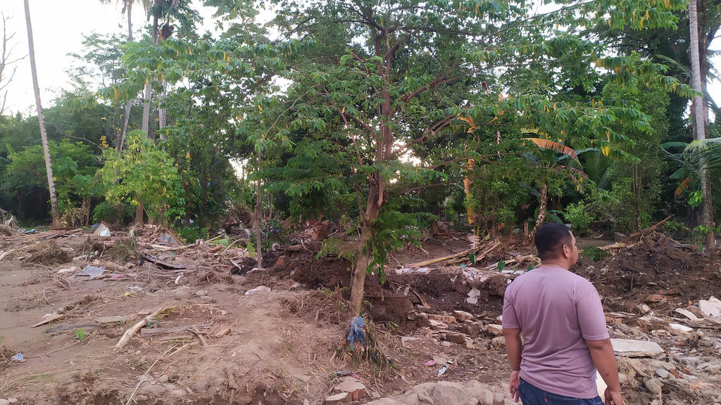 Pohon Kecil yang menyelamatkan siska