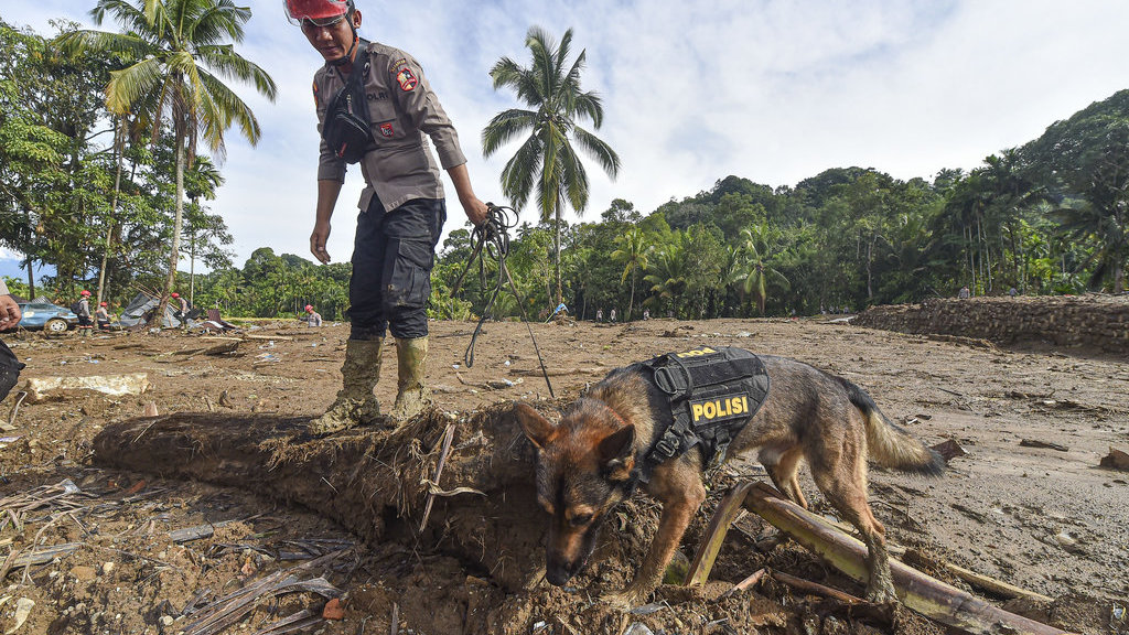 Pencarian korban banjir bandang gunakan anjing pelacak