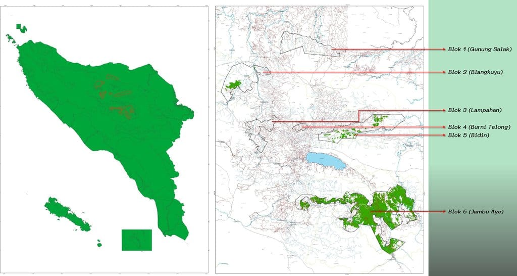 Peta Dasar Area Kerja Tusam Hutani Lestari