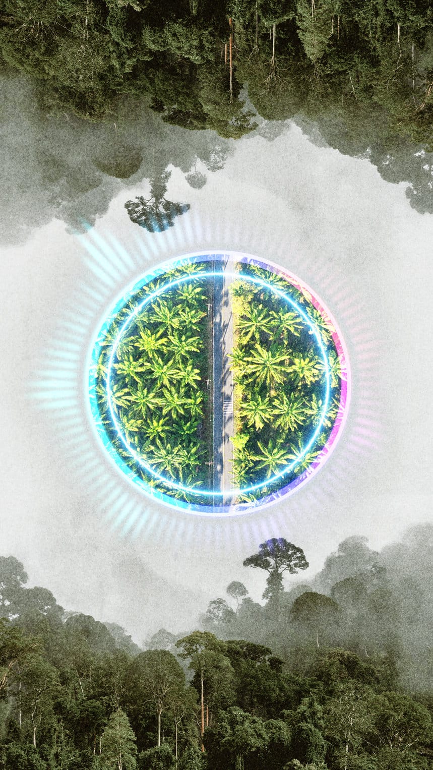 Tirto Weekly, Periode: 6-12 Desember 2025