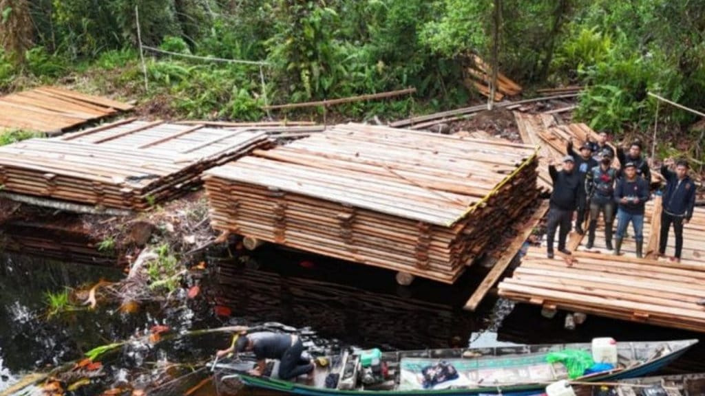kayu olahan ilegal di Sumatera