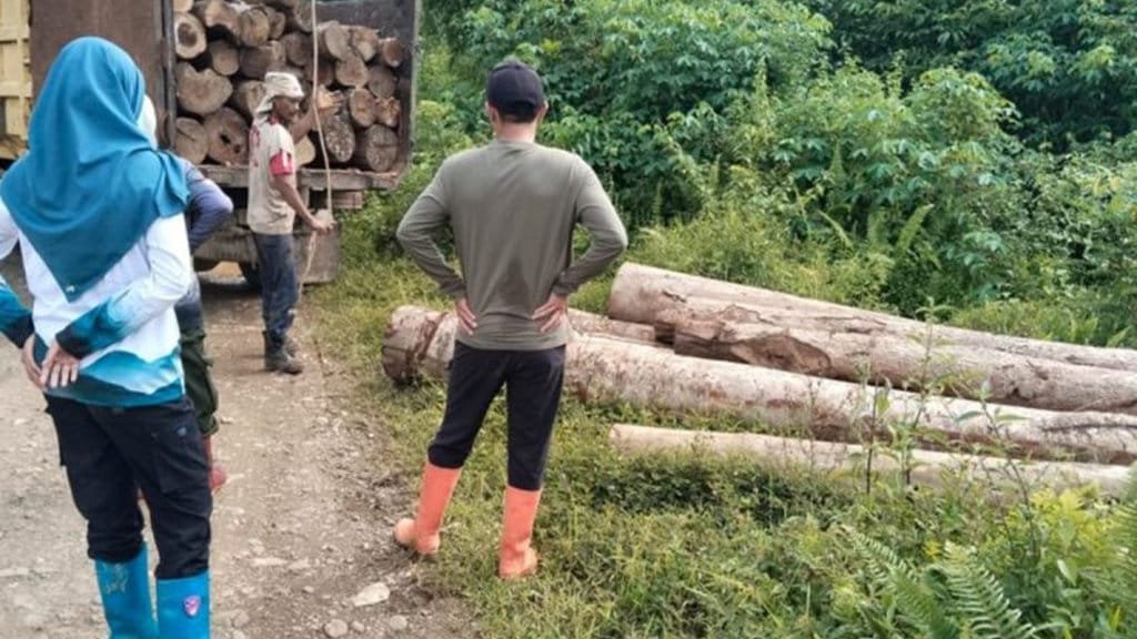 kayu olahan ilegal di Sumatera