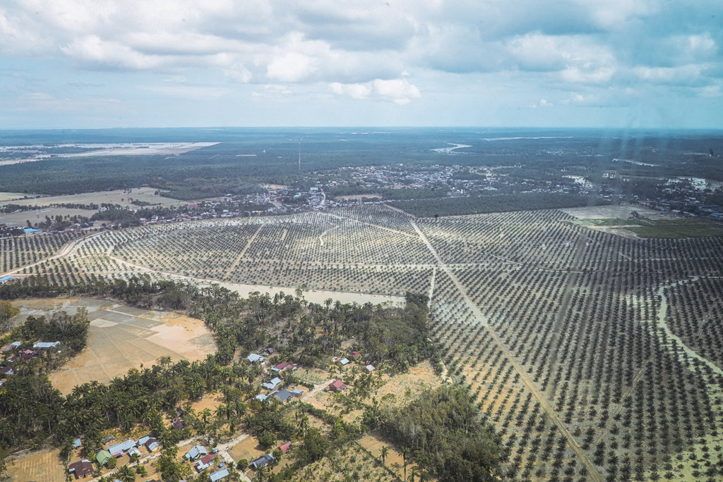 Pencabutan 28 Izin Sumatra: Koalisi Sipil Tagih Transparansi