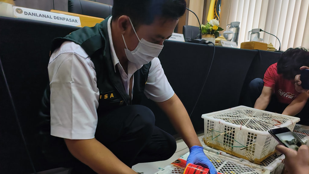 Badan Karantina Gagalkan Penyelundupan Burung