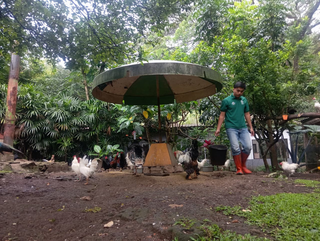 Bandung Zoo