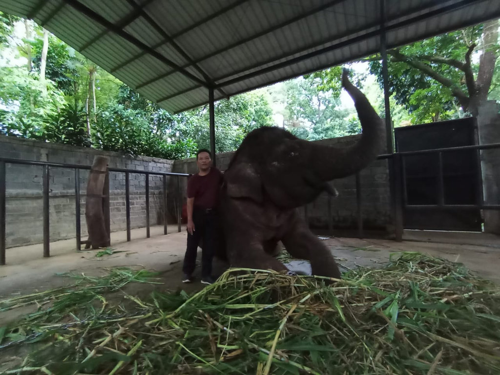 Bandung Zoo
