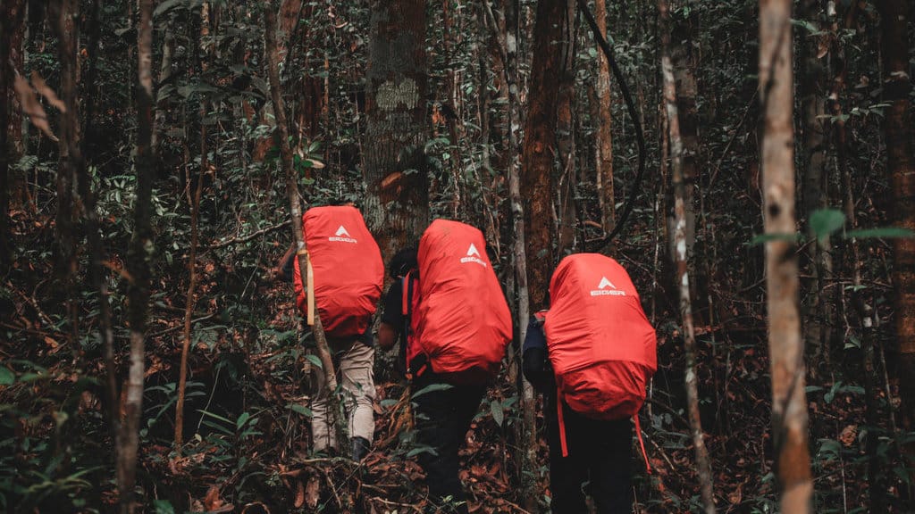 Header EIGER 