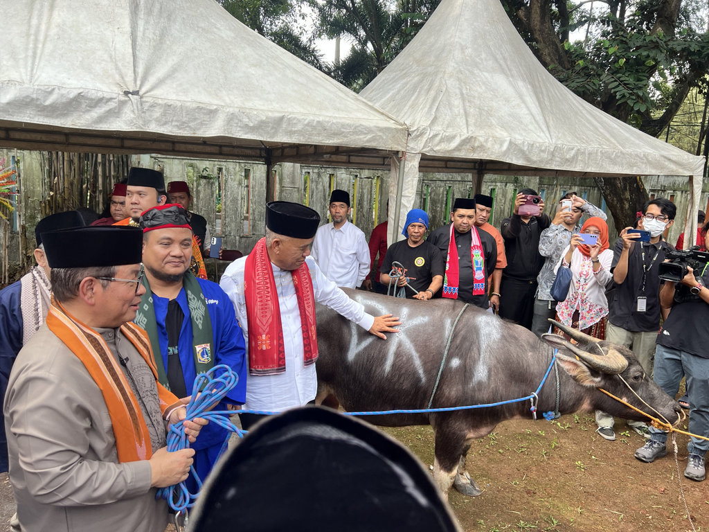 Newsplus Tradisi Andilan Kebo