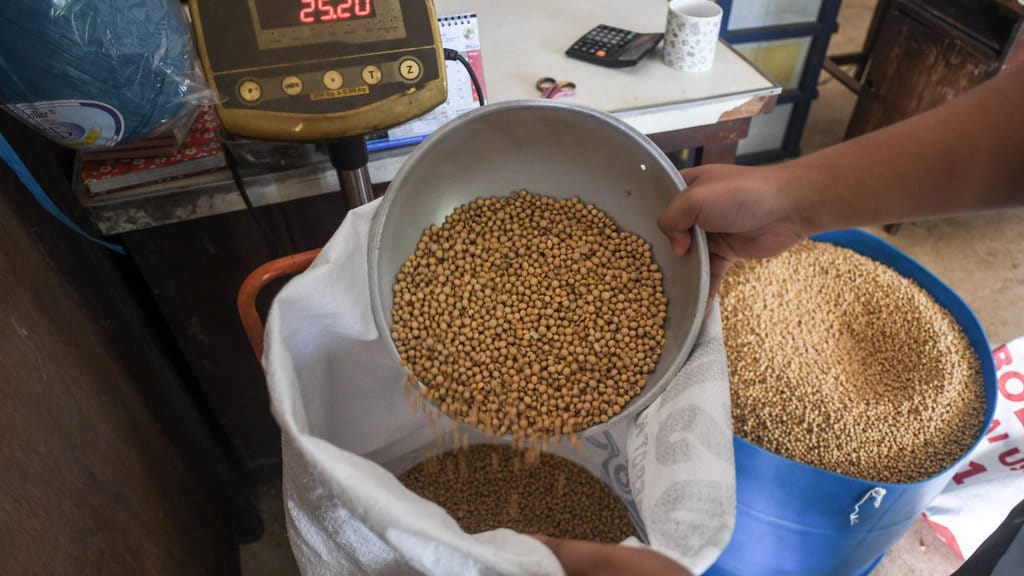 Harga Acuan Penjualan kedelai impor di Kopti Ciamis