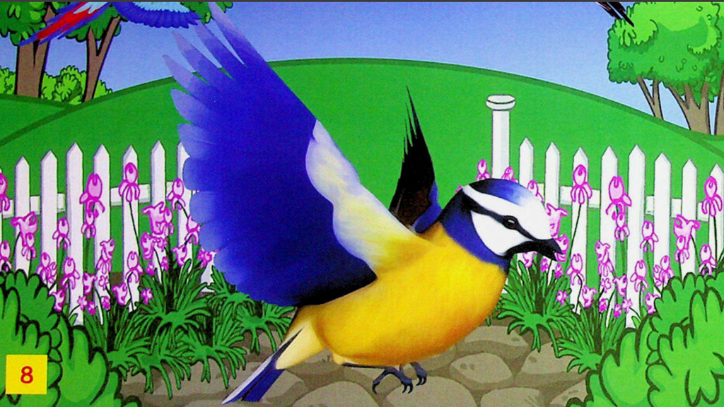 Hewan burung