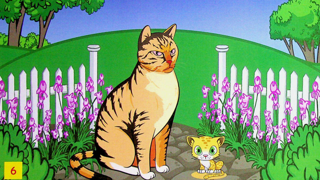 Hewan kucing