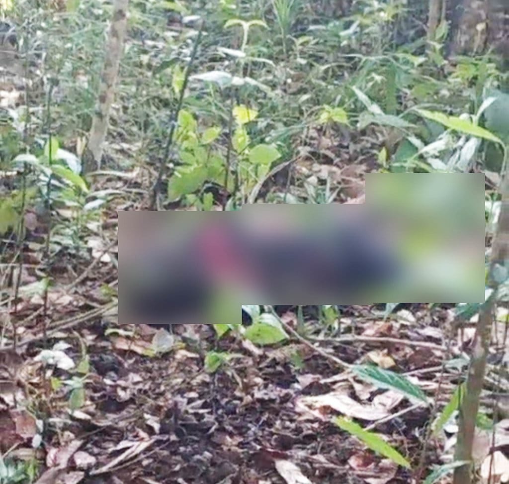 Bocah 12 Tahun Tewas di Kebun Karet OKI, Diduga Korban Rampok