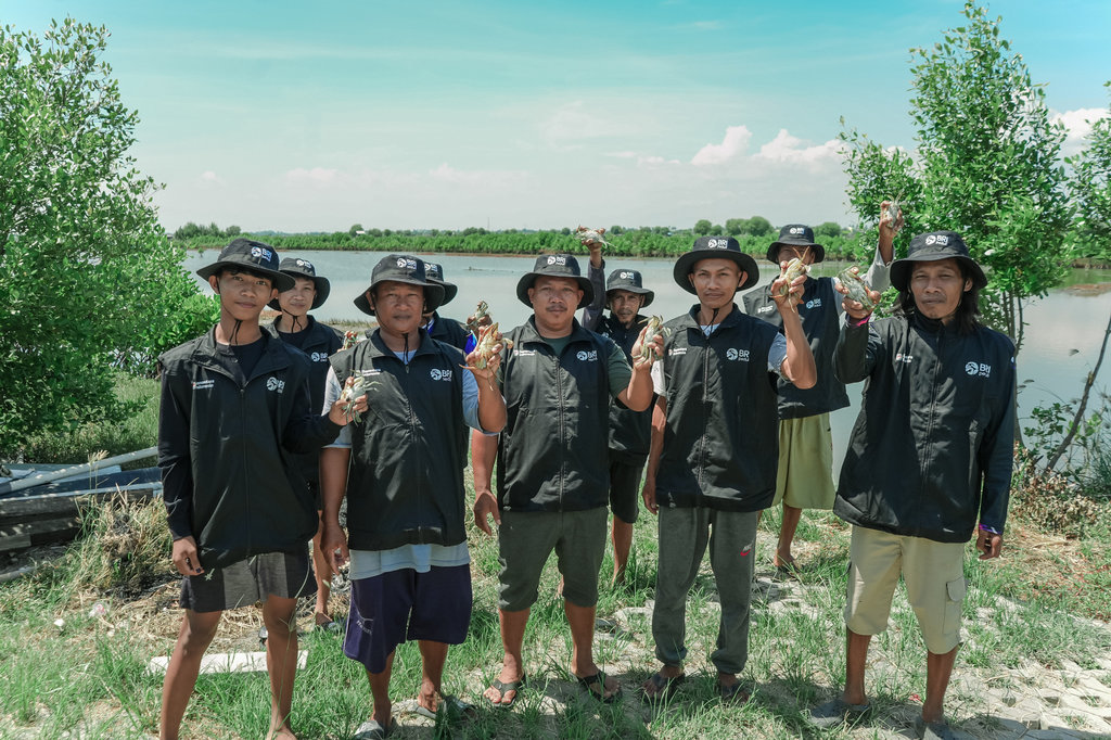 Peringati Hari Bumi, BRI Tanam Mangrove di Muara Gembong Bekasi