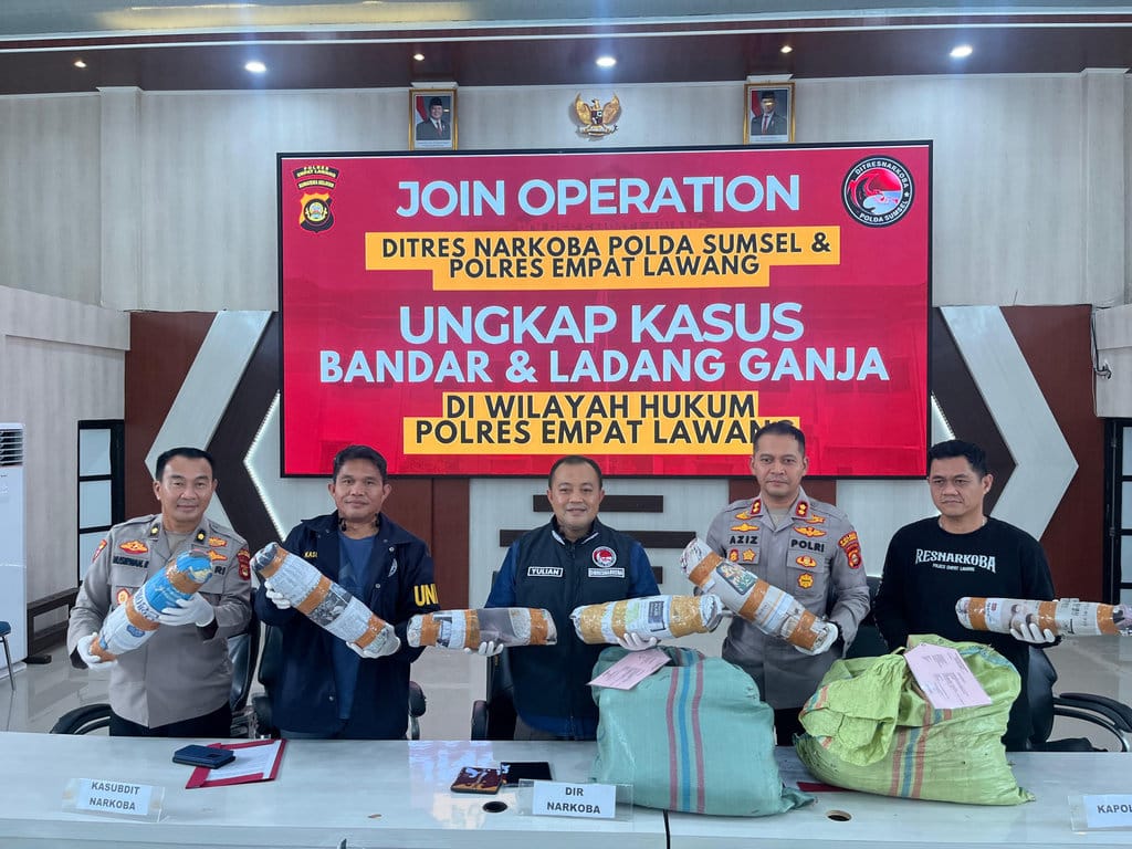 Ladang Ganja 20 Ha di Empat Lawang Digerebek, Bandar Ditangkap