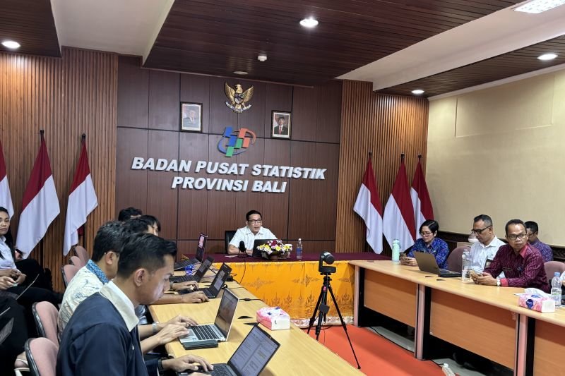 BPS Bali: Angkatan Kerja Turun, Warga Pilih Urus Rumah Tangga