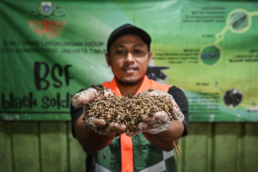 Pengolahan sampah organik di Jakarta