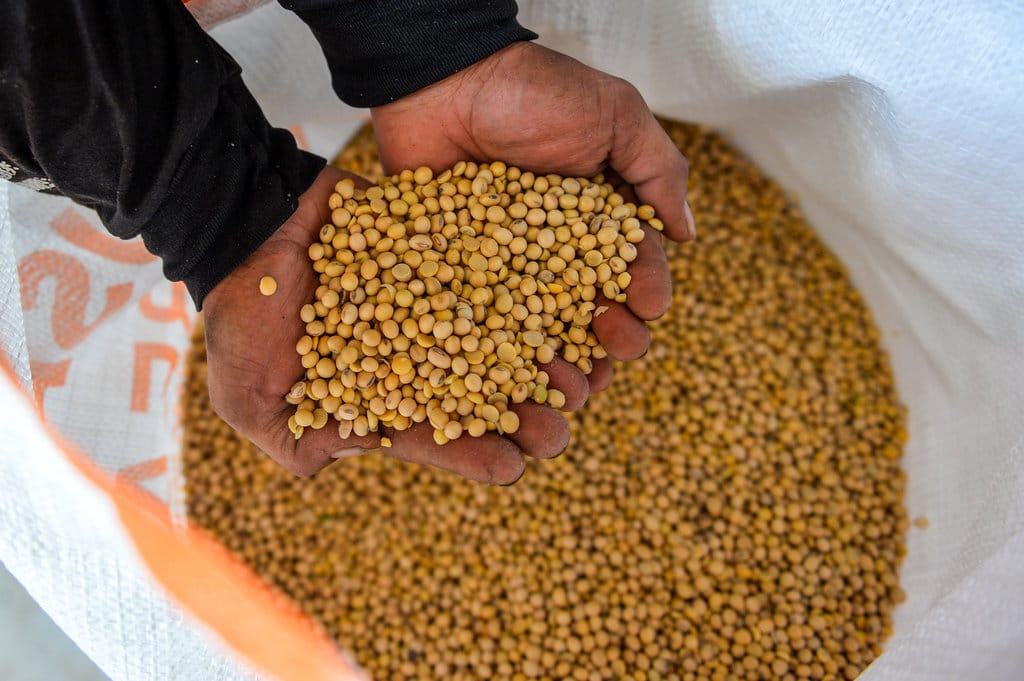 Subsidi harga kedelai bagi pelaku usaha tahu tempe