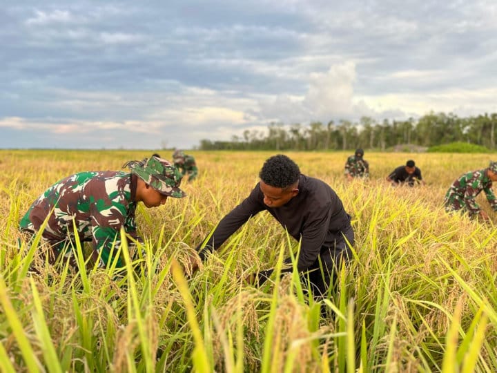 Bulog Kembangkan 102 Ribu Hektare Lahan Pangan di Papua Selatan
