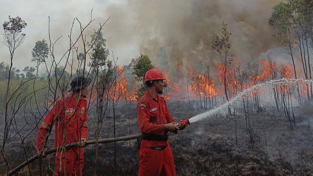Ancaman Kebakaran Hutan Sumatra Meningkat dalam Sepekan