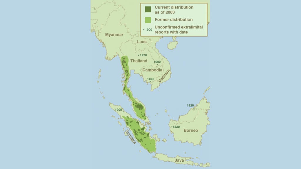 Peta Persebaran Tapir Asia