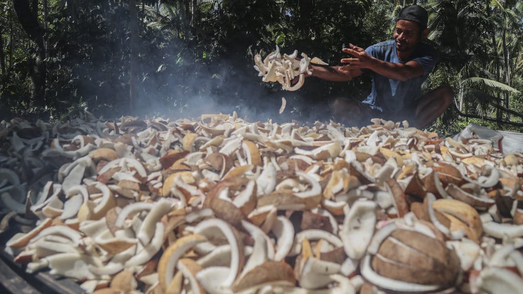 Petani kopra di Pulau Meti Halmahera Utara