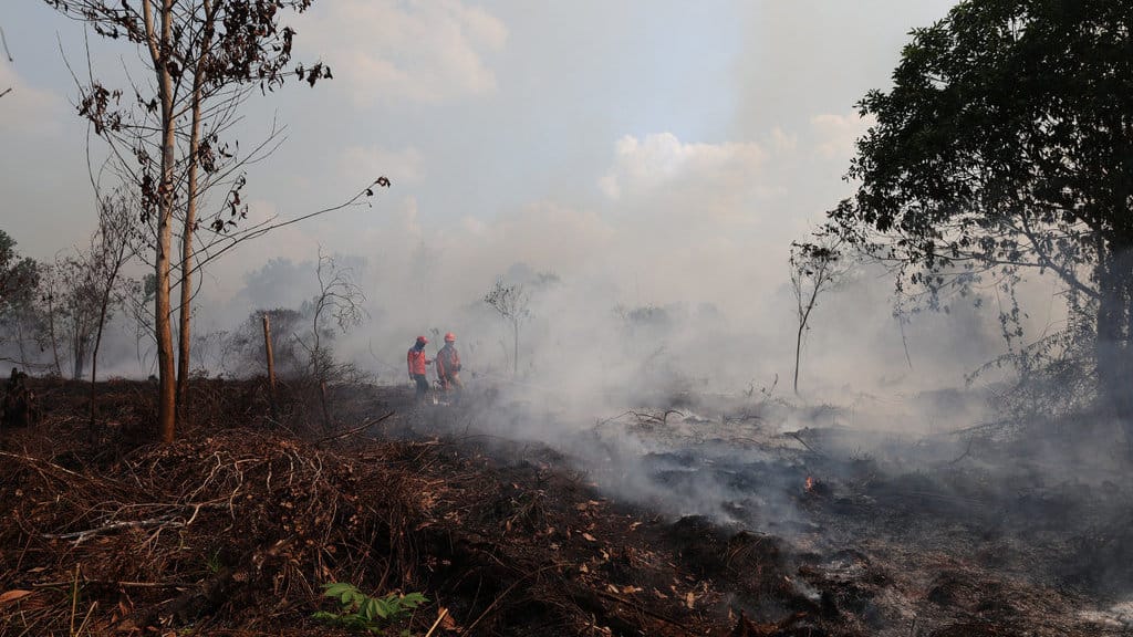 Personel BPBD Provinsi Kalimantan Barat berjalan di lokasi lahan gambut yang terbakar di Dusun Sidomulyo, Desa Limbung, Kecamatan Sungai Raya, Kabupaten Kubu Raya, Kalimantan Barat, Minggu (2/8/2026). BMKG Kalimantan Barat mencatat hasil pantauan sensor VIIRS dan MODIS pada satelit polar per 1 Agustus 2026 menunjukkan terdapat 762 titik panas kebakaran hutan dan lahan yang tersebar di 12 kabupaten di provinsi setempat yaitu antara lain Ketapang, Sanggau, Sekadau, Melawi, dan Kubu Raya. ANTARA FOTO/Jessica Wuysang/sgd Sebaran titik panas di Kalimantan Barat