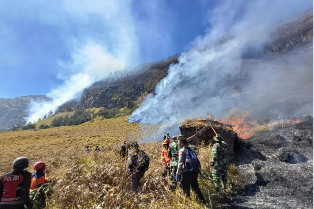 Karhutla Bromo 2026