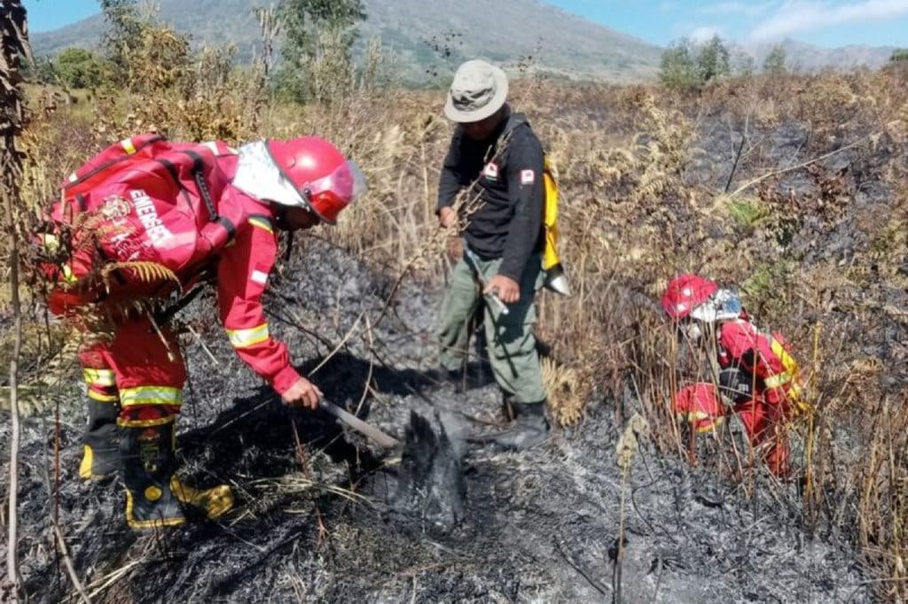 Karhutla di Sembalun Gunung Rinjani