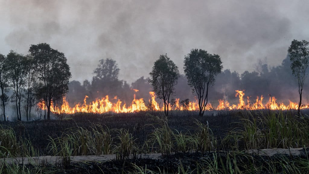 Kebakaran lahan di Kertapati Palembang