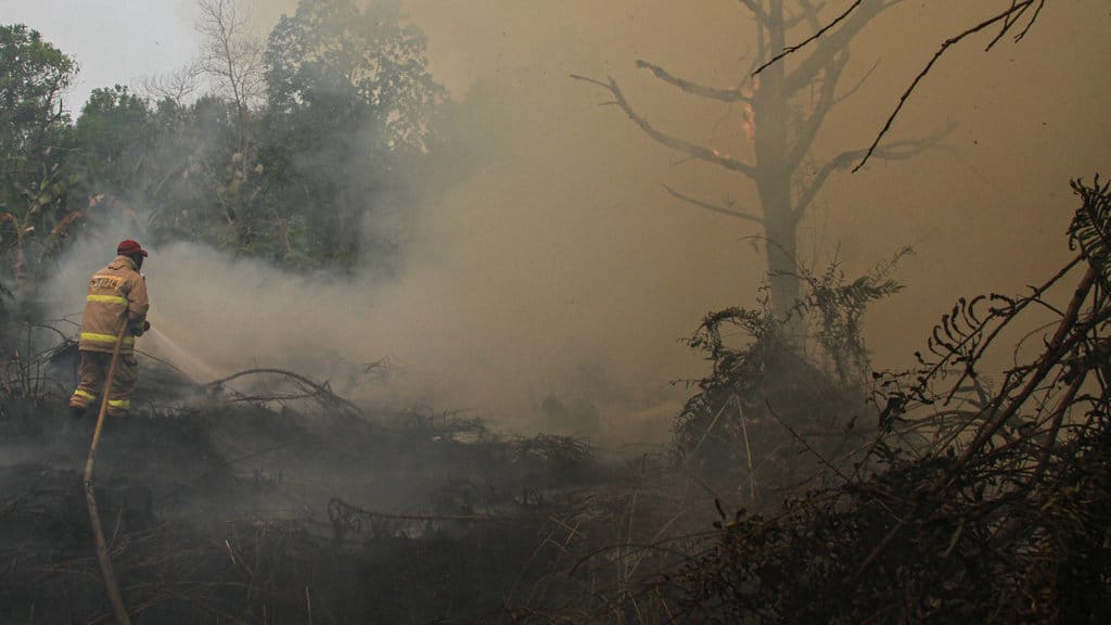 Luas kebakaran hutan dan lahan di Kalimantan Tengah