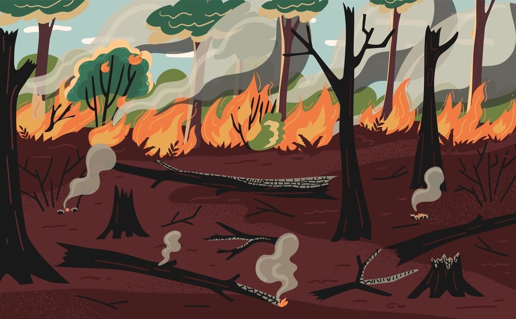 Ilustrasi Kebakaran Hutan